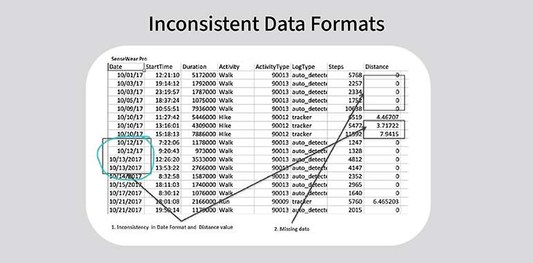 Inconsistent Data Formatting