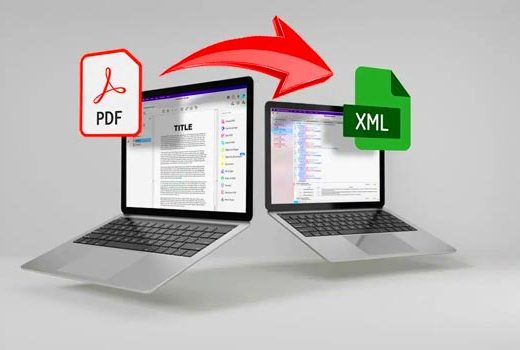 PDF to XML Conversion of DOI and Summaries