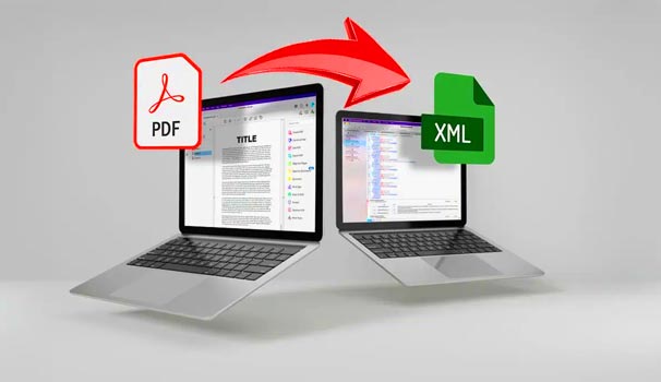 PDF to XML Conversion of DOI and Summaries